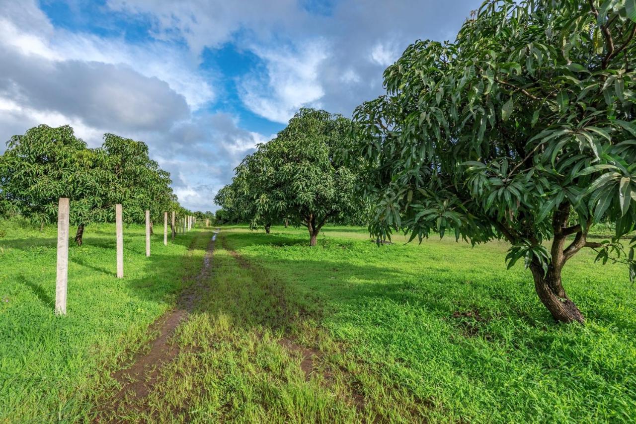 Saffronstays Sattva - Pet And Eco-Friendly Villa In Mumbai'S Outskirts Pen Zewnętrze zdjęcie